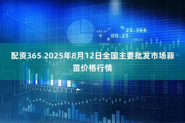 配资365 2025年8月12日全国主要批发市场蒜苗价格行情